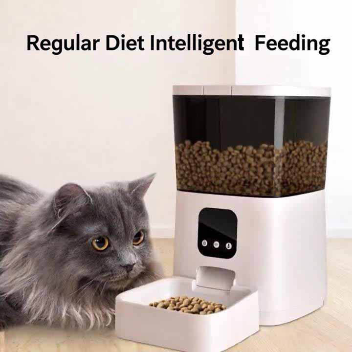 Square feeder X33